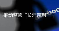 推动监管“长牙带刺”，强化“对监管的监管”：完善金融监管体系的重要举措